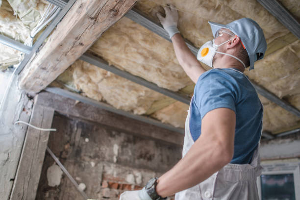 Types of Insulation We Offer in Clare, MI