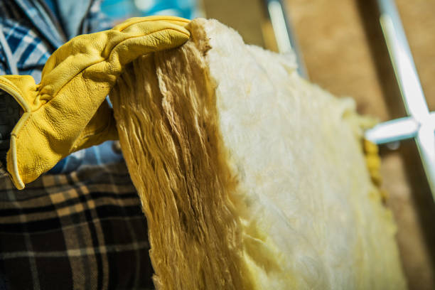 Best Insulation Maintenance and Repair in Clare, MI