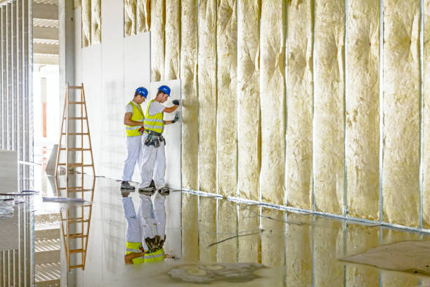 Best Residential Insulation in Clare, MI